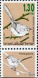 [Songbirds, Вид AUG]