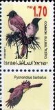 [Songbirds, Вид AUH]