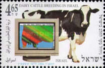 [The 70th Anniversary of Israel Dairy Cattle Breeders' Association, type AXJ]