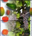 [Israeli Fruit Production, type AYR]