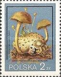 [Protected Poisonous Mushrooms, type CHW]