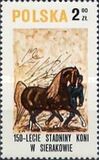[The 150th Anniversary of Horse Riding in Sieraków, タイプ CGT]