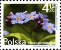 [Flowers and Fruits - Myosotis, type GFD]