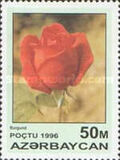 [Roses, тып IT]