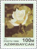 [Roses, тып IU]