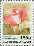 [Roses, тып IV]