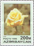 [Roses, тып IW]