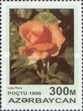 [Roses, тып IX]