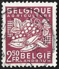 [National Industry - New values, 類型 NP1]