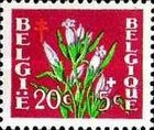 [Plants - The struggle against Tuberculosis, тып PO]