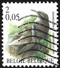 [Birds, タイプ CII]