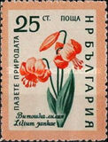 [Flowers, type AJW]