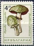 [Mushrooms, type ANQ]