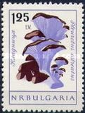 [Mushrooms, type ANV]