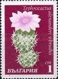[Cactuses, tegund BPP]
