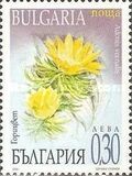 [Spring Flowers, タイプ FHS]