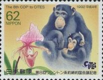 [The 8th Conference of Parties to Convention on International Trade in Endangered Species, Kyoto City, type CIT]