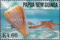 [Sea Shells, 類型 AMA]