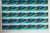 [Protected Species - Dolphins, type AJH]
