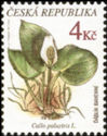 [Plants, type EG]