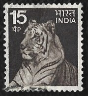 [Local Motifs, Tip PG]