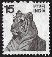 [Local Motifs, type QO]