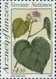 [Medical Herbs, type CU]