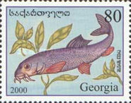 [Fish, type NX]