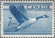 [Birds - Canada Goose, típus GD]