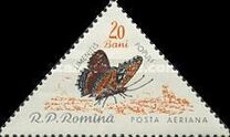 [Butterflies & Moths, type BTH]