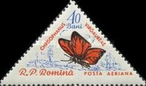 [Butterflies & Moths, type BTI]