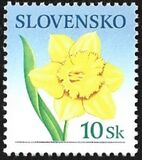 [Greeting Stamp - Flowers, Tüüp QG]