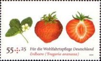[Fruits, Tüüp CQK]