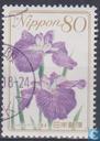 [Flowers, tip HWG]