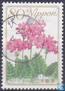 [Flowers, type IID]