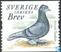 [Doves and Pigeons, type BTG]