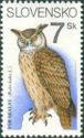 [Nature Conservation - Birds of Prey, Scrivi DJ]