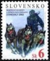[The European Sled Dog Race Championship, Donovaly, type LW]