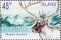[Reindeer, タイプ ADP]