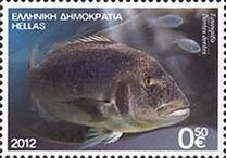 [Marine Life - Riches of the Greek Seas, type CEM]