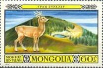 [Games Reserves - Fauna, type AFE]