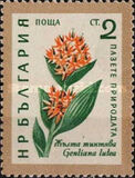 [Flowers, type AJU]