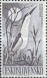 [Water Birds, type YY]