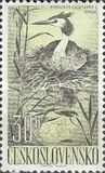 [Water Birds, type YZ]