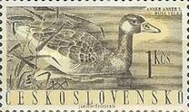 [Water Birds, type ZC]