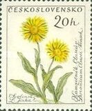 [Flowers, tip ZE]