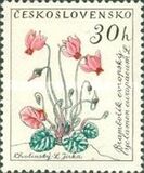 [Flowers, tip ZF]