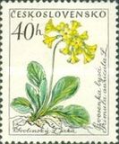 [Flowers, tip ZG]