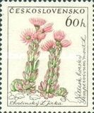 [Flowers, tip ZH]