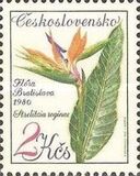 [Olomuc and Bratislava Flower Shows, type BYT]